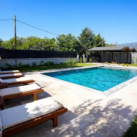 Atay Mandalina Ortaca (Mugla)